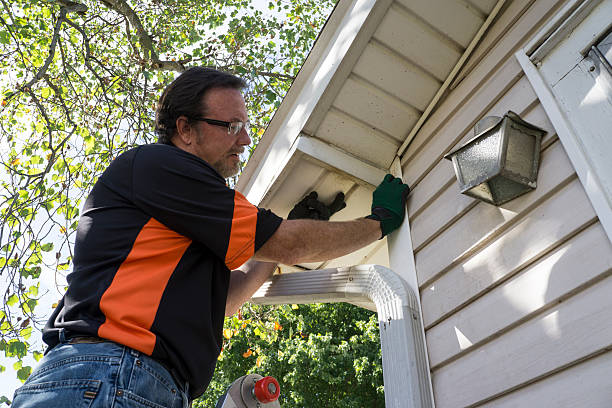 Best Shed Removal  in Avon Park, FL